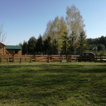 Szydlowiec Anastazewo Luaran gambar