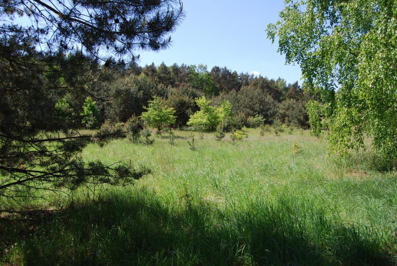 Szydlowiec Anastazewo Luaran gambar