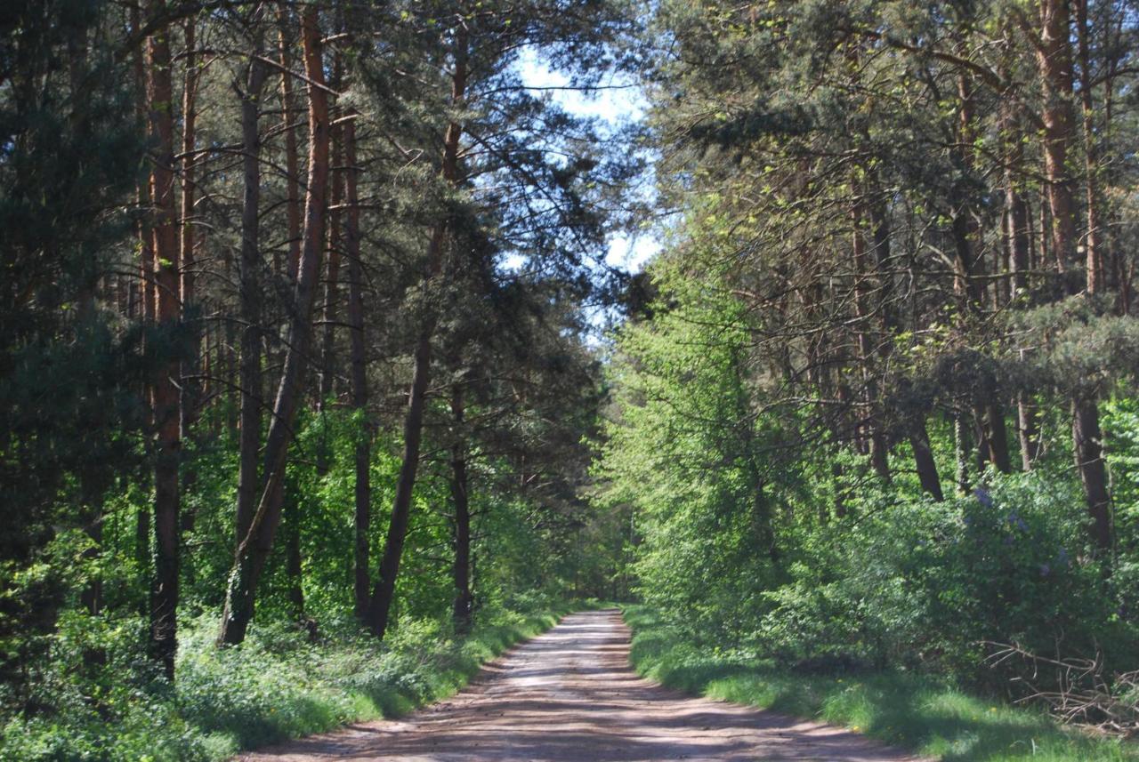 Szydlowiec Anastazewo Luaran gambar