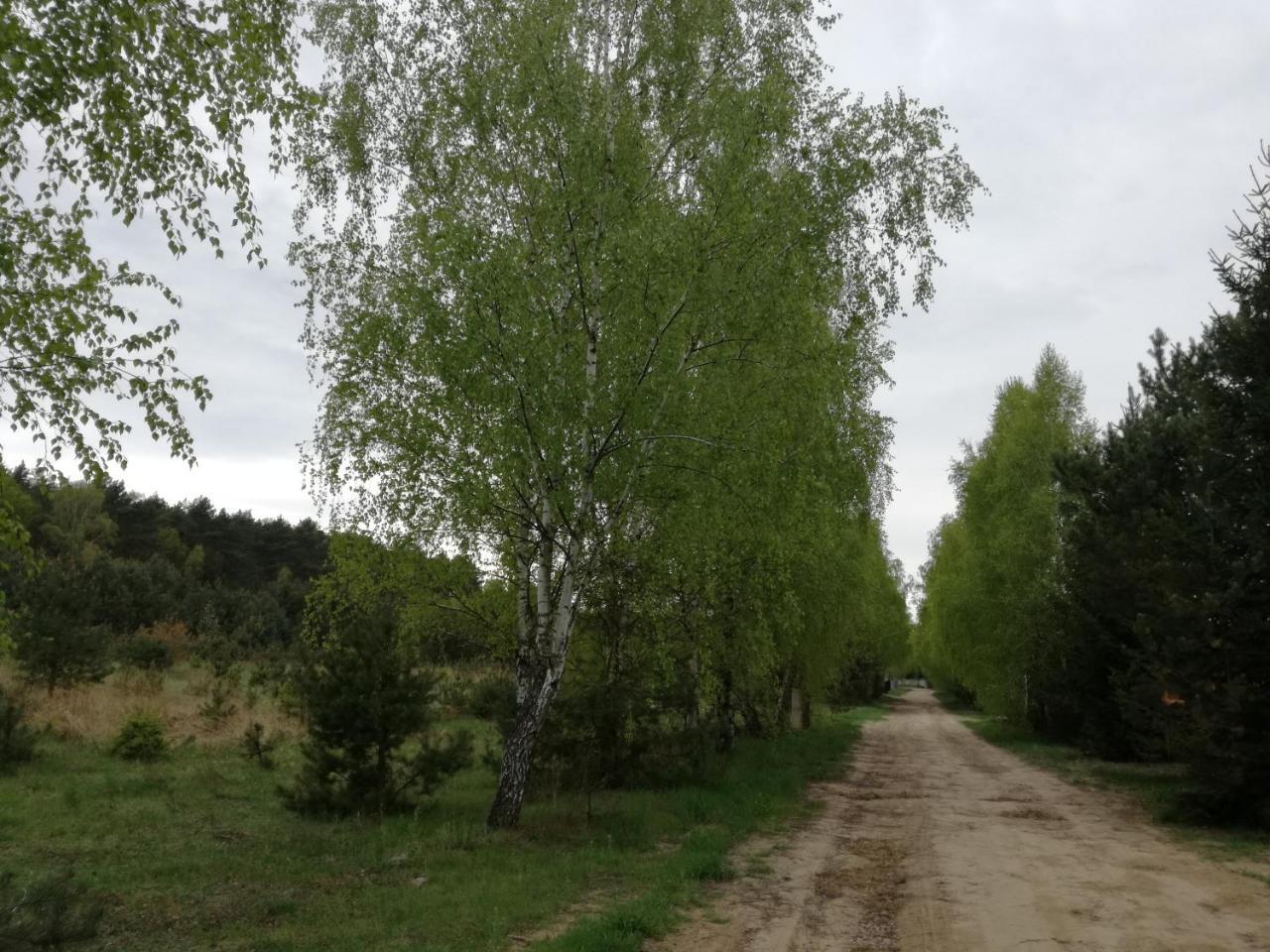 Szydlowiec Anastazewo Luaran gambar