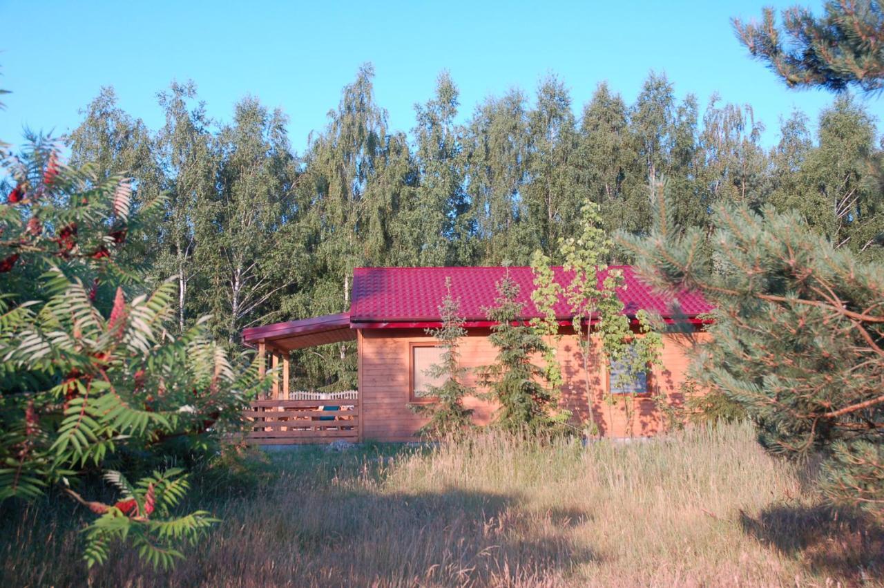Szydlowiec Anastazewo Luaran gambar