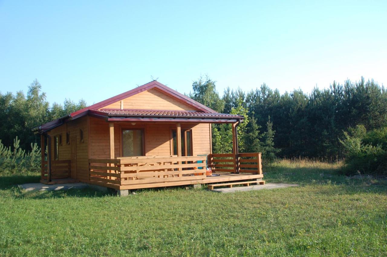 Szydlowiec Anastazewo Luaran gambar