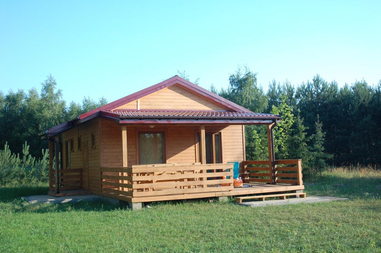 Szydlowiec Anastazewo Luaran gambar