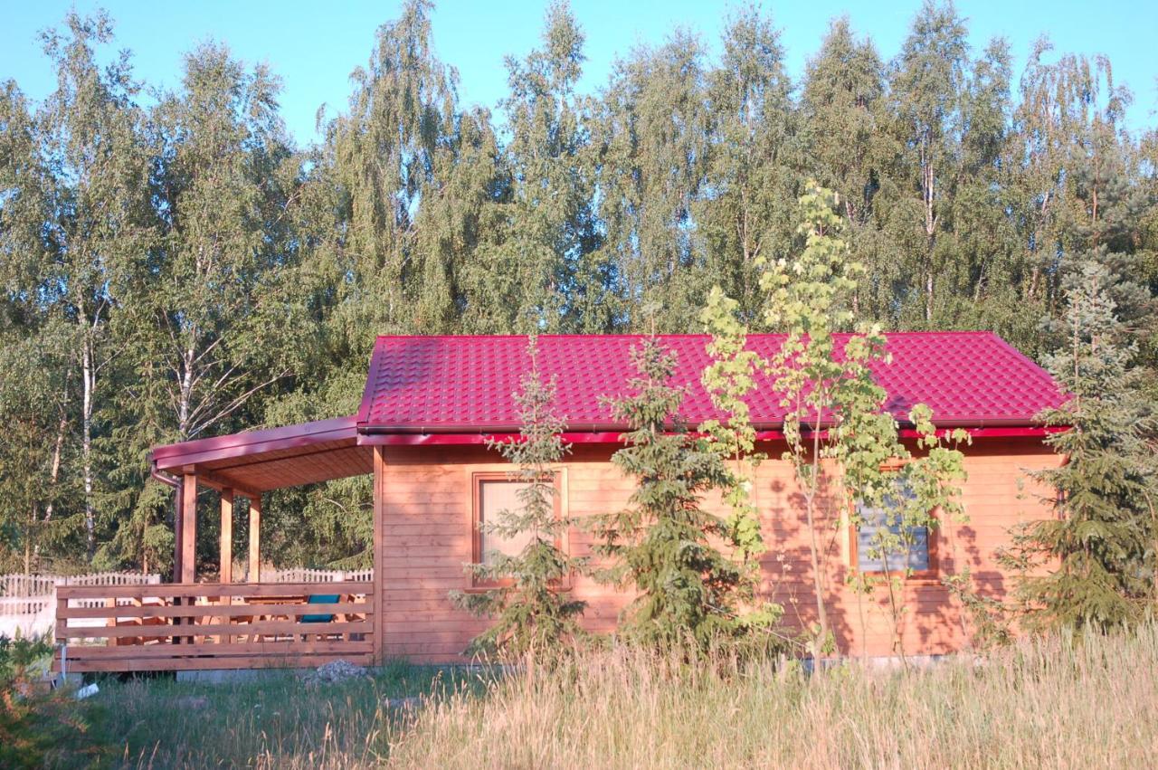 Szydlowiec Anastazewo Luaran gambar