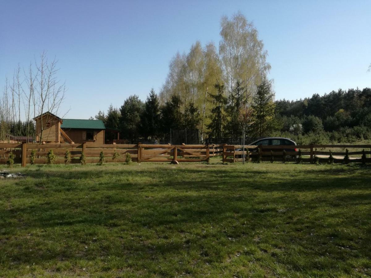 Szydlowiec Anastazewo Luaran gambar